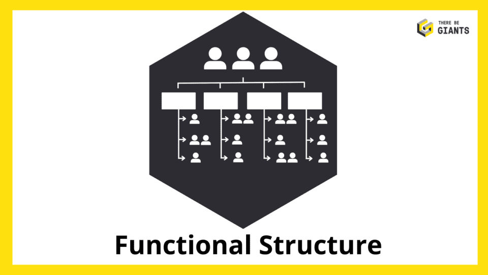 Functional structure diagram