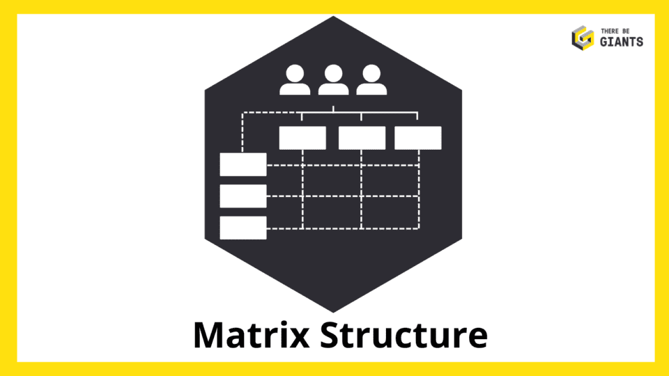 Matrix structure diagram